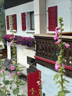 Le Roitelet - 7