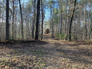 Secluded Woodland Cabin for an Authentic Off-Grid Nature Escape in Fruithurst, Alabama - 5