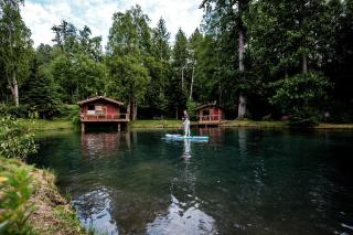 Secluded Rustic Log Cabin with Eagle Nest Views near Bear Creek Pond in Hope, Alaska - 5