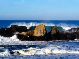 Delightful Glamping Vintage Trailer Rental near the Ocean, Waldport, Orego - 2
