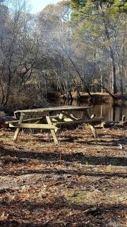 Claxton's Riverfront Family Fun: Cabin Adventures Await - 1