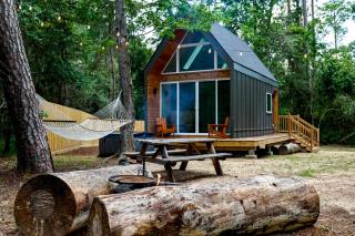 Wonderful Cabin with Great Forest Sights in Montgomery, Texas - 6