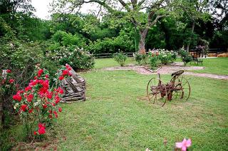 Secluded Safari Tent by the Cibolo Creek - Perfect for a Relaxing Vacation in Marion, Texas - 3
