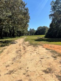 Cute Tiny House on Sixty Acres of Private Land for a Peaceful Glamping Getaway in Northern Mississippi - 7