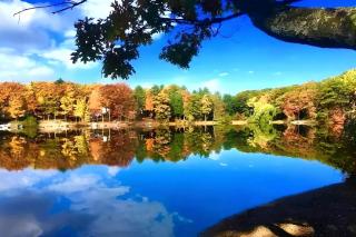 Cozy Vintage Lake Cabin with Hot Tub & Beach Access near Traverse City, Northern Michigan - 9