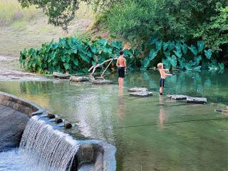 Safari Tent Tranquility in the Heart of Texas, Perfect for Glamping in Cibolo - 4