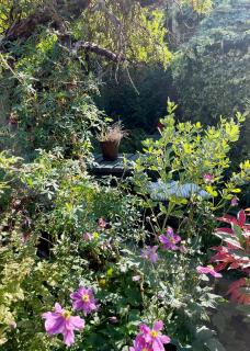 Givendale Cottages, Newby Hall, Ripon, North Yorkshire - Ripon - 1