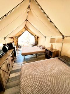 Quaint Safari Tent on the San Marcos River - Adventurous Glamping Getaway near Kingsbury, Texas - 3
