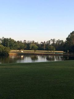 Elevate Your Reunion: Saucier, guest Rental Offering Unrivaled Luxury and All Desired Amenities - 5
