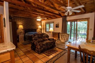 Charming Cabin Retreat: Fireplace and River Views in San Miguel County, NM - 9