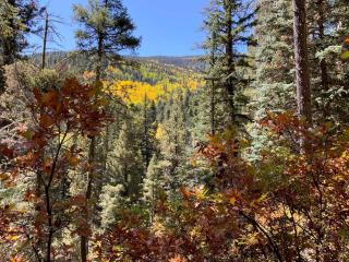 Charming Cabin Retreat: Fireplace and River Views in San Miguel County, NM - 4