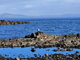 Shell Cottage - Whithorn - 1