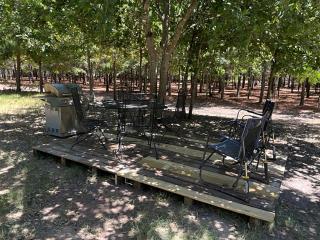 Dream Glamping in Texas in this Cozy, Pet-Friendly Cabin in Bastrop, TX - 9