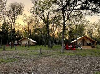 Relaxing Lakeview Safari Tent with Outdoor Seating and Nature Access near Bastrop, Texas - 8