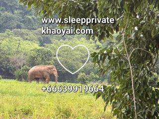 Sleep private khaoyai - 8