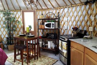 Rustic Luxury: Riverfront Yurt Glamping in Claxton, Georgia - 8