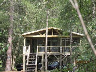 Serenity by the River: Glamping in Claxton, Georgia - 5