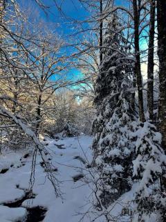 Cozy Log Cabin Rental in the White Mountains of New Hampshire - 3