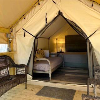 Glamp Like Never Before: Safari Tent Rental Paradise in Cibolo, Texas - 5
