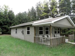 The Lazy Acorn Cabin in Boon, MI - 0