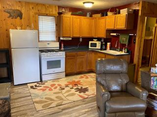 The Lazy Acorn Cabin in Boon, MI - 5
