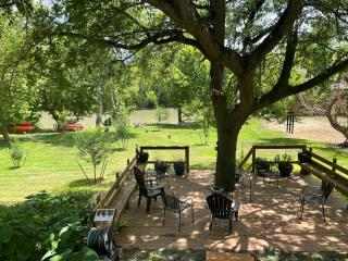 Pet-Friendly Cabin on the Banks of the Colorado River in Bastrop, TX - 7