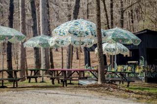 Charm in the Mountains: Your Nicest Getaway Awaits at Our One-of-a-Kind Tracy City Cabin - 6
