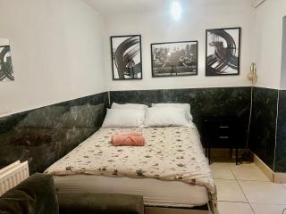 Contemporary Self Contained Studio - Coldharbour Lane SW9 - 6