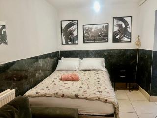 Contemporary Self Contained Studio - Coldharbour Lane SW9 - 4