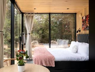 Whimsical Flower-Inspired Mirror Cabin by the Lake in the Enchanted Forests of Texas - 1