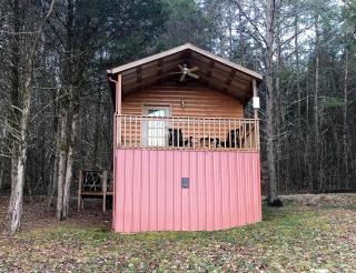 Furry Friends and Fields: Pet-Friendly Cabin with Unique Views in Sparta, TN - 1