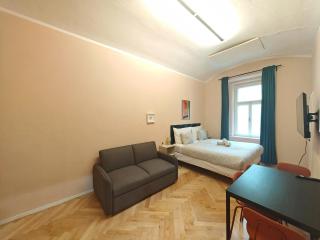 Spacious, Light Studio Apartment in Vinohrady - 6