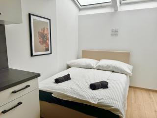 Luxury Rooftop Apartment with Free Parking - 5