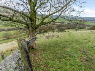 Sycamore Cottage At Naze Farm - 3