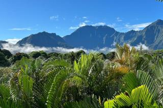 Princeville's Own Paradise - 1