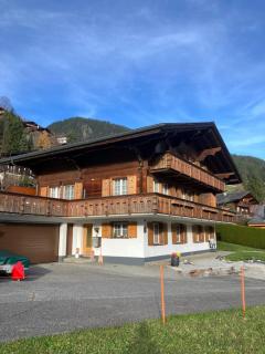 Chalet Amaryllis - Jungfrau View Apartment - 2