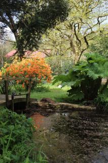 Chycara House - 1