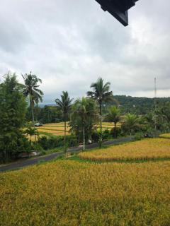 Bukit Luwih House - 2