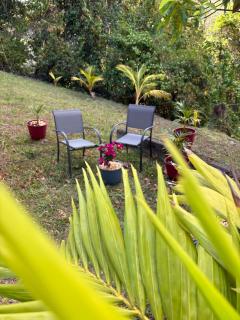 Studio cosy et nature proche Saint Pierre et plages - 4