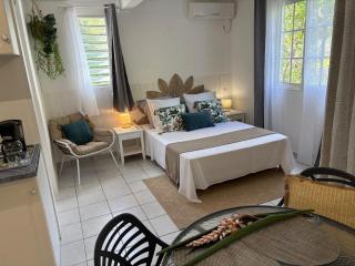 Studio cosy et nature proche Saint Pierre et plages - 0
