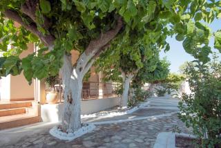 Seaside Plitra Paradiso - Steps from the Beach - 5