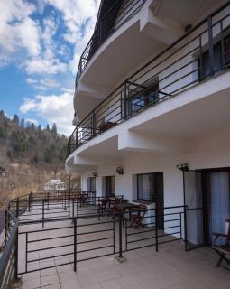 Zan Hotel - Voineasa - 7
