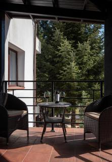 Zan Hotel Voineasa - 4
