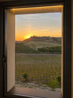 Villa Irene Langhe - 9