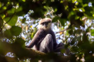 Rainforest Hide View - 6
