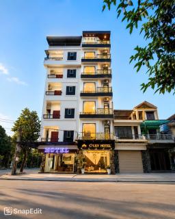 O Lily Hotel - 9