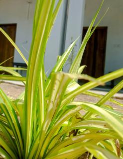 FR Resort Boutique Arugam bay - 9