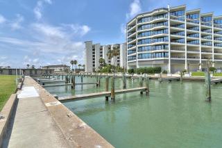 Bay Tree A1314 - 2