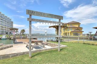 Bay Tree A1314 - 1