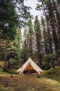 Cozy Lake View Tents - 3